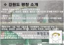평창지역 스키장 활성화 방안 PPT 4페이지