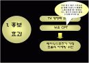 F1 유치를 통한 스포츠 활성화 방안 12페이지