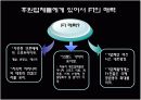 F1 유치를 통한 스포츠 활성화 방안 17페이지