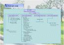 남해힐튼 시장조사 (ppt) 17페이지
