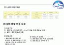 스노우캐슬 시장조사 (ppt) 12페이지