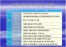 저가항공 (ppt) 3페이지