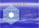 저가항공 (ppt) 7페이지