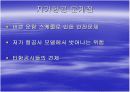 저가항공 (ppt) 10페이지