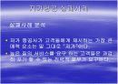 저가항공 (ppt) 13페이지
