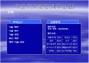 저가항공 (ppt) 19페이지