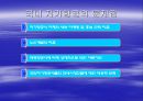 저가항공 (ppt) 21페이지