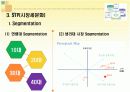 화이트(생리대) 시장조사 5페이지