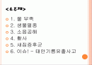 한반도 내의 환경문제 2페이지