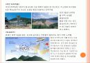 한반도 내의 환경문제 7페이지