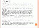한반도 내의 환경문제 13페이지