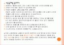 한반도 내의 환경문제 15페이지