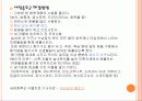 한반도 내의 환경문제 23페이지