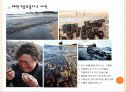 한반도 내의 환경문제 27페이지