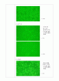 cell culture - cancer cell 2페이지