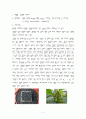 유통식품 조사 보고서 2페이지