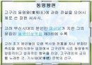 이규보와 그의 문학,파워포인트 8페이지