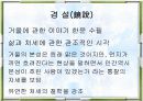 이규보와 그의 문학,파워포인트 11페이지