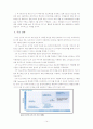 kt와 코레일의 6시그마 14페이지