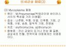소아과 Case study - Pneumonia 10페이지