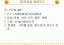 소아과 Case study - Pneumonia 11페이지