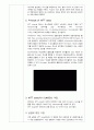 MTT assay  4페이지