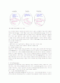 인터넷 비즈니스로서 웹사이트 성공요인 및 평가모델에 관한 고찰 28페이지