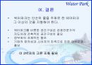 [경영학원론]종합리조트 '워터파크' 산업분석(A+리포트) 38페이지