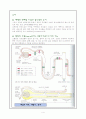 신장의 구조와 기능 4페이지