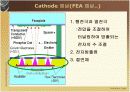 FED의 모든것, 제조공정. 원리. 실용 10페이지
