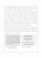 비 누 화 반응(Saponification) 6페이지