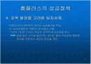 해외 자본의 대형 할인점의 국내 시장 진출의 성공 방법 13페이지