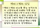 생활속 기하학 11페이지