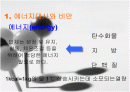 비만방지를 위한 식이요법 2페이지