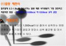 비만방지를 위한 식이요법 14페이지