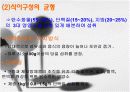 비만방지를 위한 식이요법 16페이지