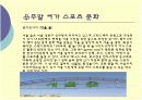 주말여가스포츠 10페이지