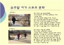 주말여가스포츠 14페이지