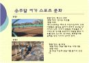 주말여가스포츠 15페이지