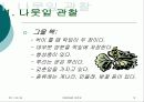 아동미술론-7세 아동을 위한 미술 수업 계획서 12페이지