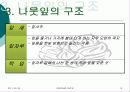 아동미술론-7세 아동을 위한 미술 수업 계획서 15페이지