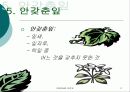 아동미술론-7세 아동을 위한 미술 수업 계획서 17페이지