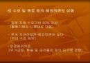 국내 조선 산업의 현황과 전망 47페이지