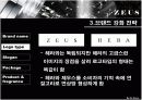 헤라옴므의 개별 브랜드 전략 프레젠테이션 19페이지
