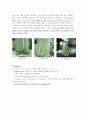 Paper chromatography를 이용한 엽록소 추출 및 분리 6페이지