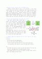 쌍자엽식물과 단자엽식물의 기공관찰 4페이지