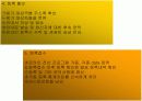 국제회의 기획서 17페이지