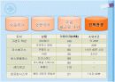 미서부 관광(LA, 샌프란시스코), TC업무 5페이지