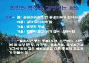 와인과 건강 14페이지