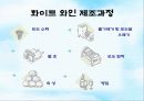 와인과 건강 17페이지